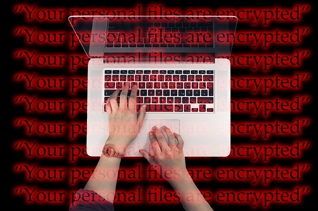 Cyberattaque Particulier