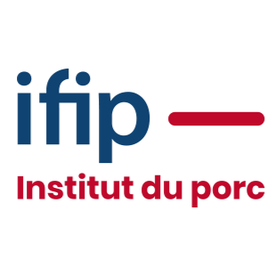 logo ifip