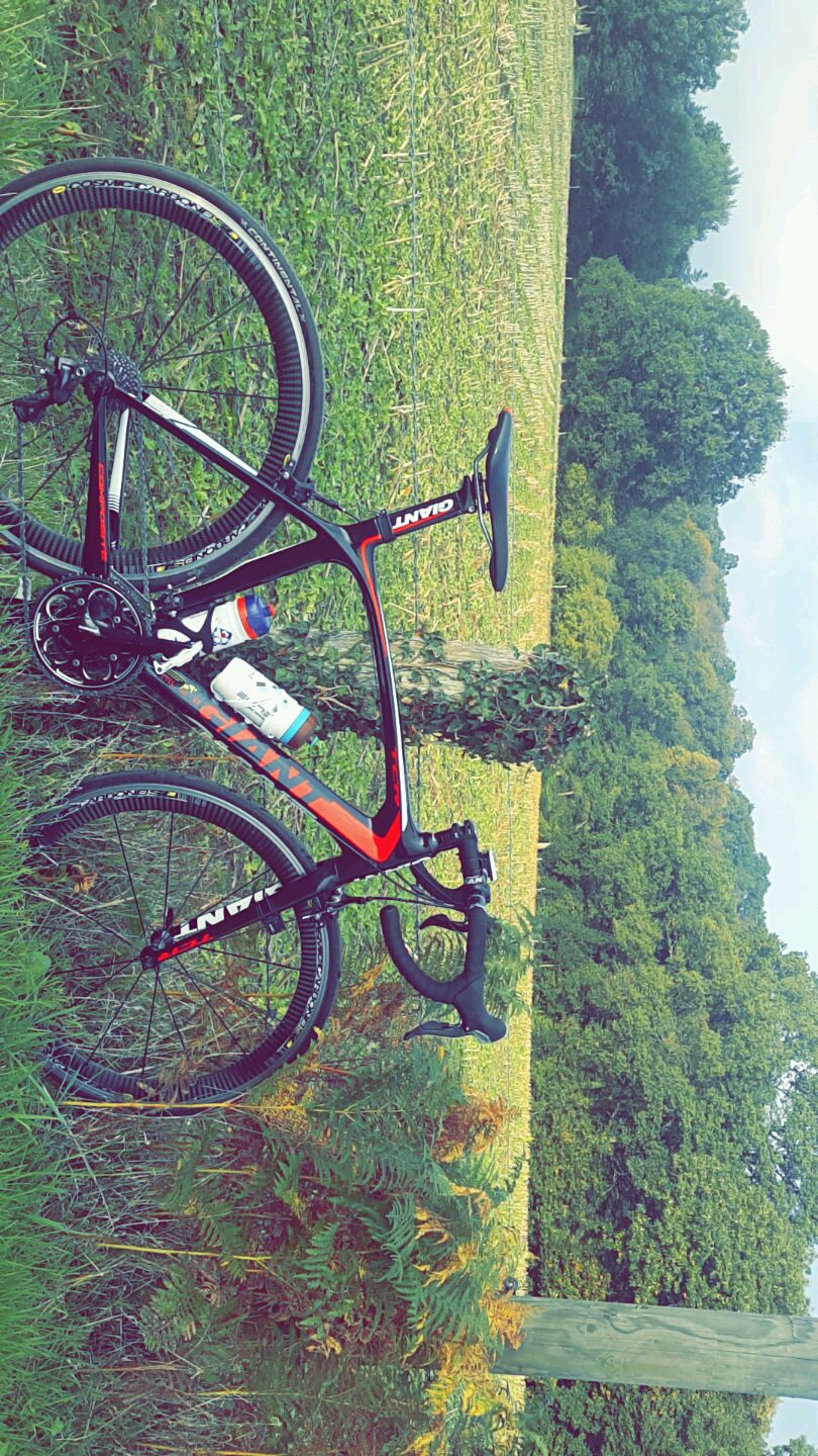 velo